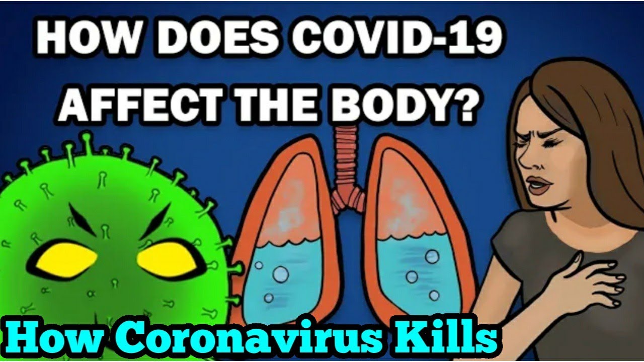 How COVID-19 Affects the Body