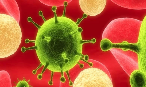 Siêu kháng thể tiêu diệt  chủng virus HIV